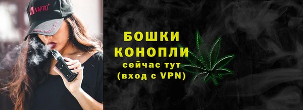 спиды Магас
