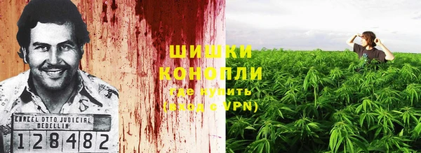 спиды Магас